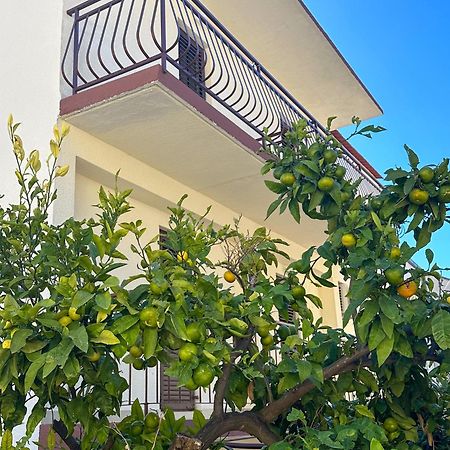 Niko Apartments Дрвеник Экстерьер фото